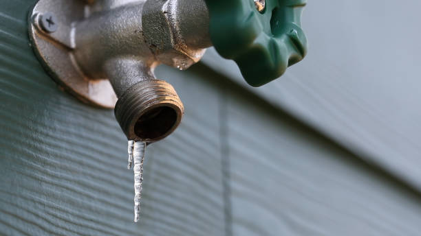 Best Affordable Plumbing Services  in Gladstone, MI